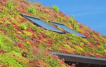 Willingham By Stow living roof systems
